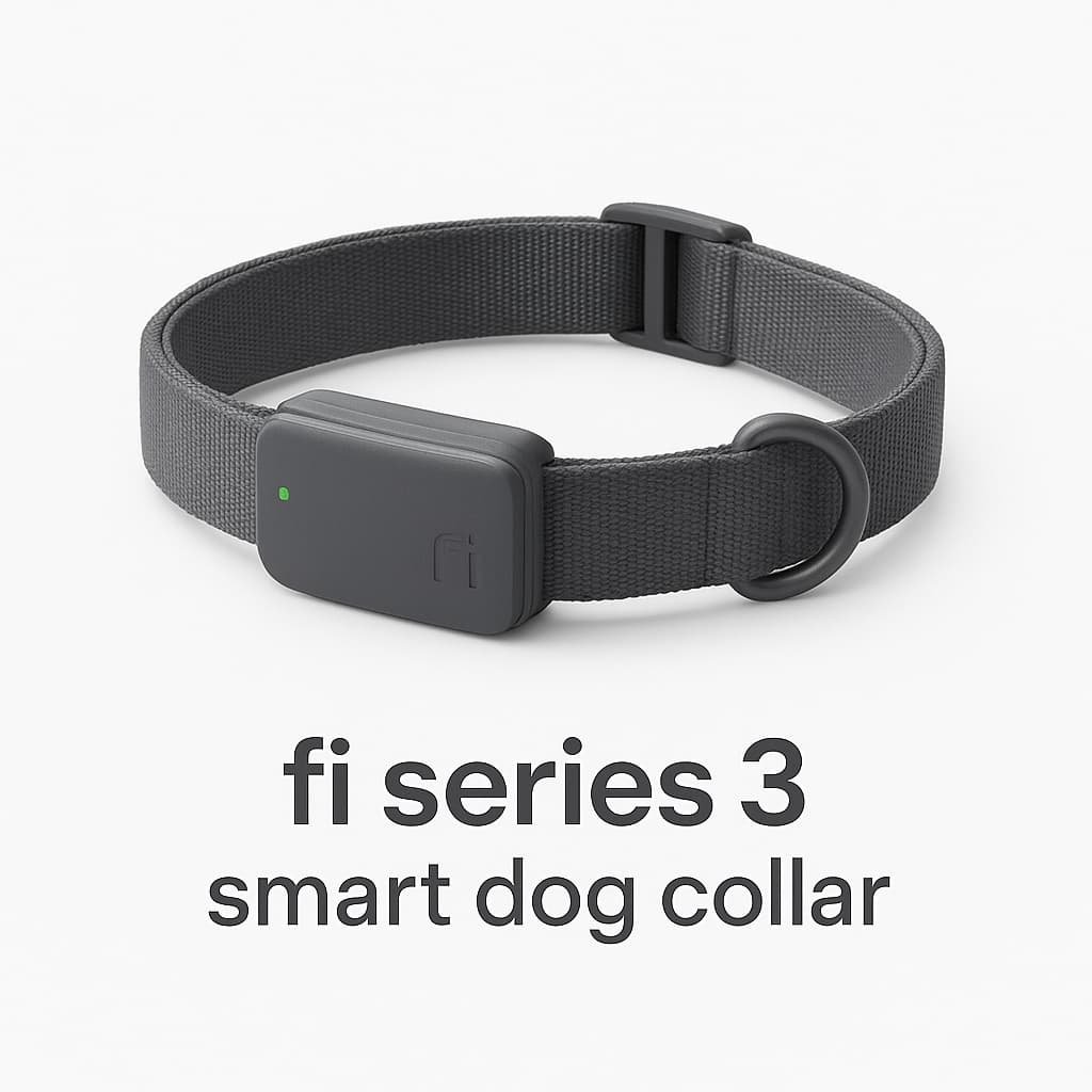 fi series 3 smart dog collar